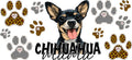Chihuahua Mama Cup Decal for 16oz Beer Can Glass KA-12939