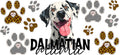 Dalmatian Mama Cup Decal for 16oz Beer Can Glass KA-12944