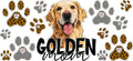 Golden Retriever Mom Glass Can Wrap for 16oz Libbey Glass KA-12948