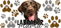 Chocolate Labrador Mama Cup Decal for 16oz Beer Can Glass KA-12954