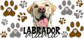 Yellow Labrador Mama Tumbler Wrap for 16oz Glass KA-12955